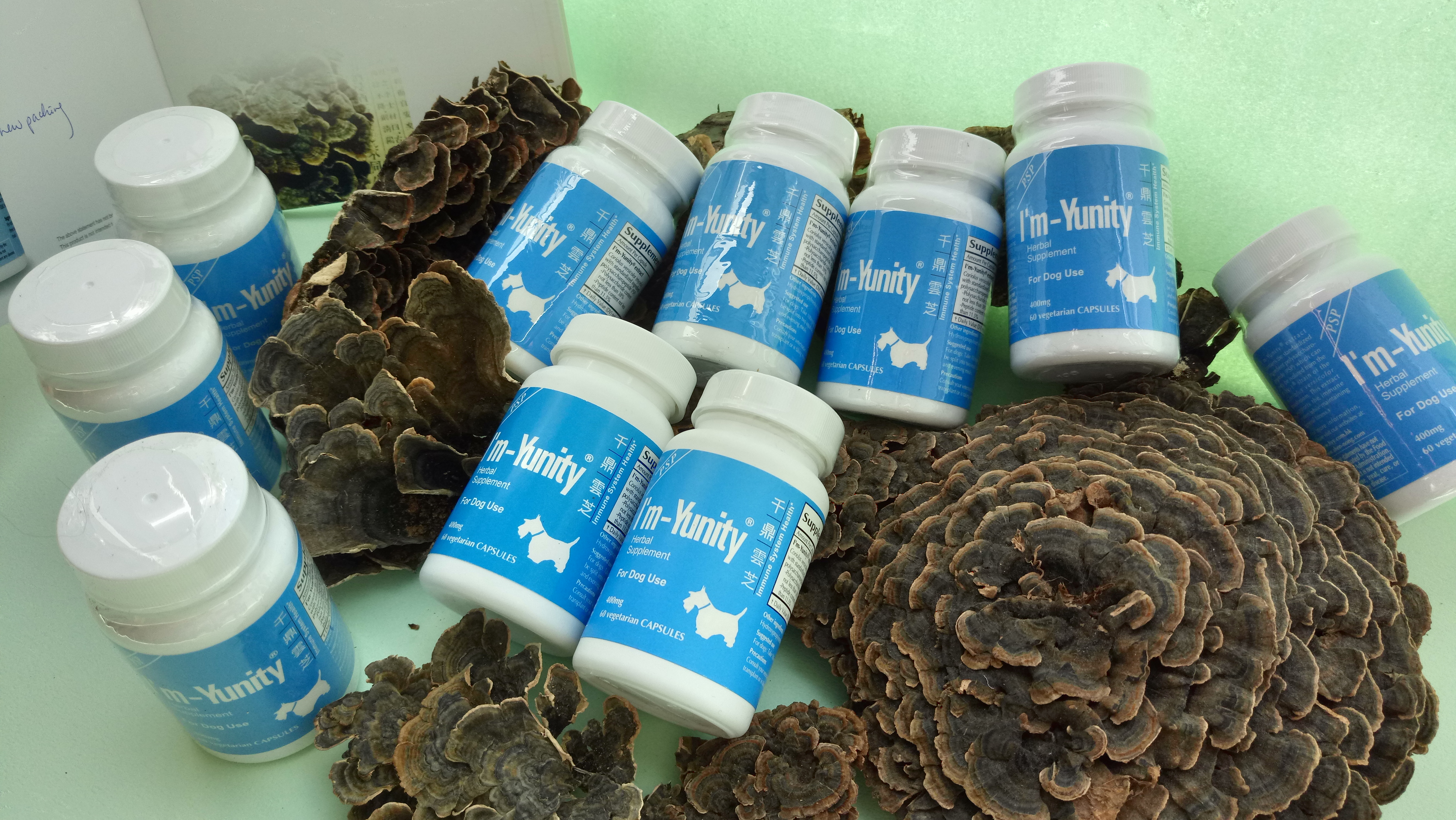 I”m-Yunity® for Dogs is a well-researched mushroom herbal supplement for dogs’ immune balance.