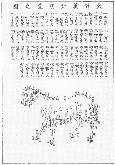 An illustration in the Classic of Ox and Horse, about heated needling therapy for horses.