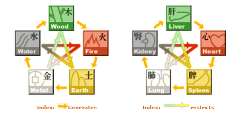 The five elements cycle